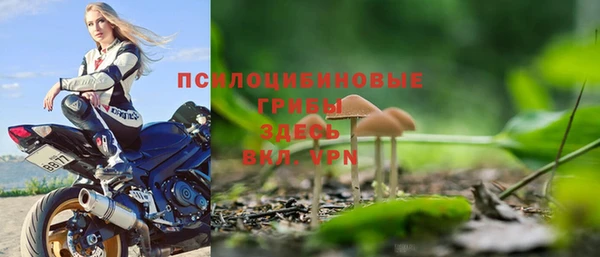 сатива Белоозёрский