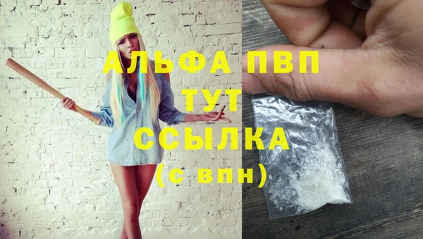 дмт Ростов