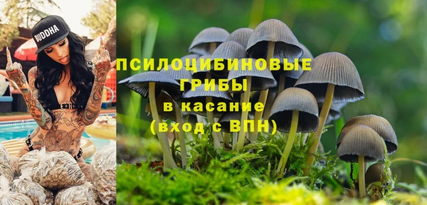 сатива Белоозёрский