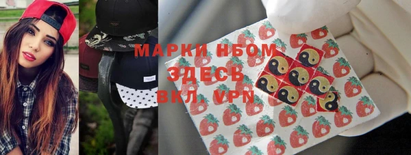 сатива Белоозёрский